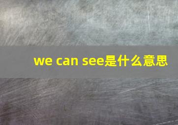 we can see是什么意思